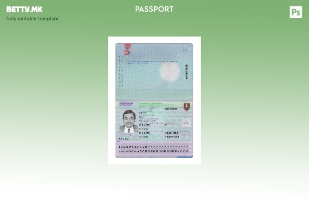 Шаблон за верзија на пасош на Словачка во модерен стил